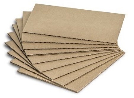 Παλετόφυλλα